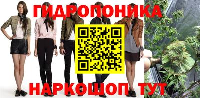 гашик Лесосибирск