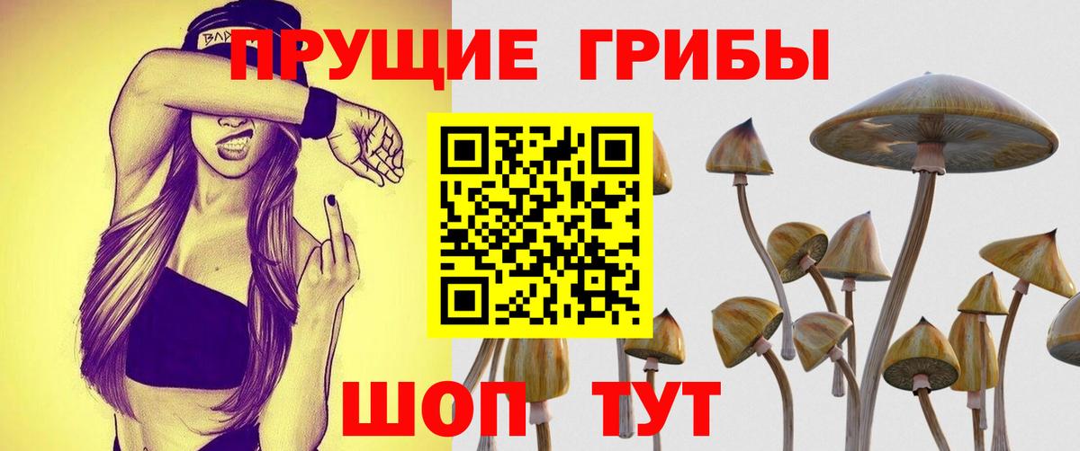 Псилоцибиновые грибы MAGIC MUSHROOMS  Вход с VPN  Псилоцибиновые грибы прущие грибы  Калуга 
